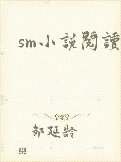 sm小说阅读