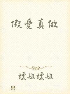 假爱真做