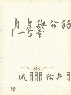 月月与公的激情1一5章