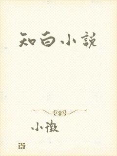 知白小说