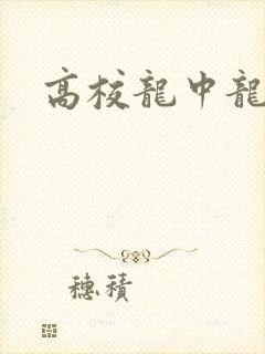 高校龙中龙