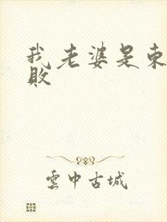 我老婆是东方不败