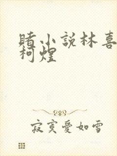 赌小说林喜朝和柯煜