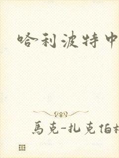 哈利波特中文版