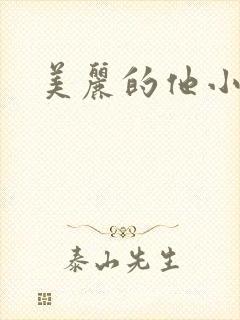 美丽的他小说