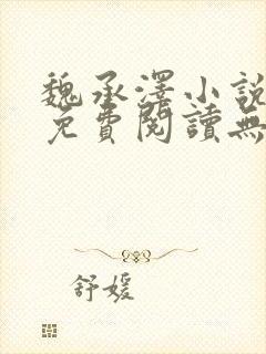 魏承泽小说全文免费阅读无弹窗笔趣