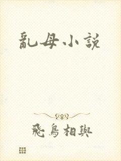 乱母小说