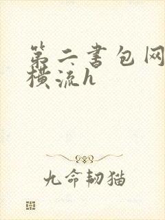 第二书包网蜜汁横流h