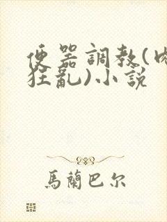 便器调教(肉体狂乱)小说