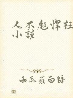 人不彪悍枉少年小说