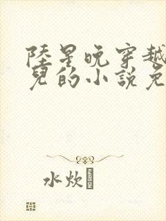 陆星晚穿越成婴儿的小说免费阅读全文