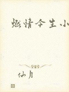 燃情今生小说