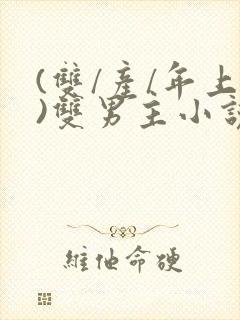 (双/产/年上)双男主小说