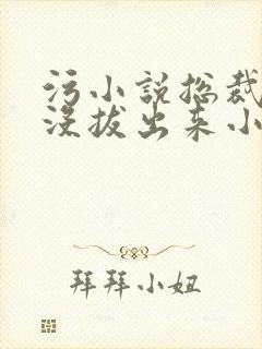 污小说总裁整夜没拔出来小说在线阅读