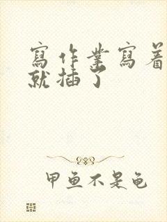 写作业写着写着就插了