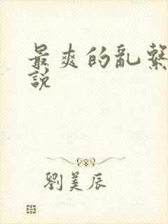 最爽的乱系列小说