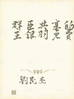 群臣共享的小公主银羽免费阅读