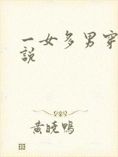 一女多男穿越小说