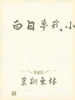 白日梦我小说