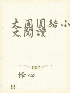 大团圆结小茹全文阅读