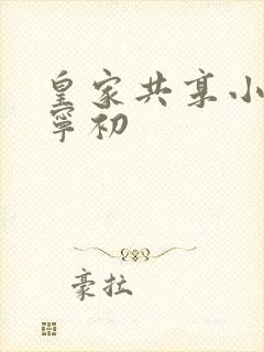 皇家共享小公主宁初