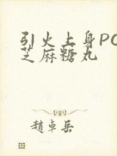 引火上身POP芝麻糖丸