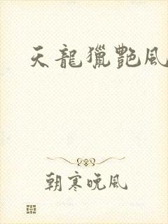 天龙猎艳风流