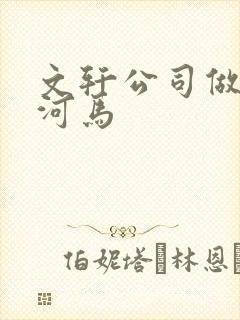 文轩公司做扩张河马