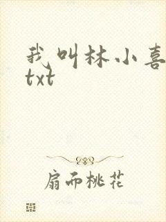 我叫林小喜小说txt
