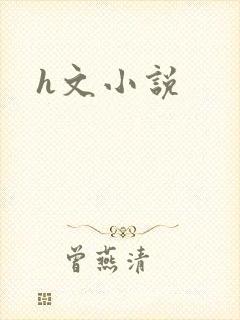 h文小说