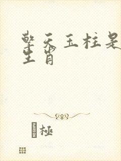 擎天玉柱是什么生肖