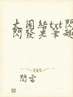 大团结txt闪闪发光笔趣阁