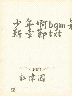 少年啊bgm最新章节txt