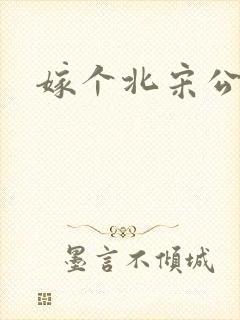 嫁个北宋公务员