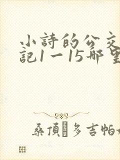 小诗的公交车日记1一15哪里能看