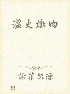温火炖肉