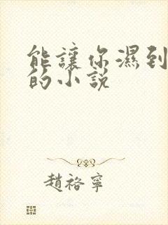 能让你湿到不行的小说