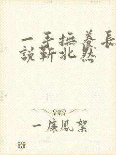 一手抚养长大小说靳北然