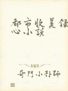 都市收美录宁素心小说