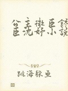 公主微臣馋了微臣沈妤小说