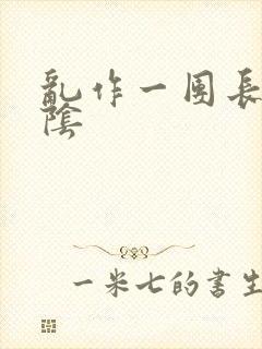 乱作一团长日光阴