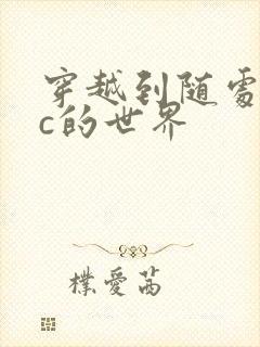 穿越到随处可以c的世界