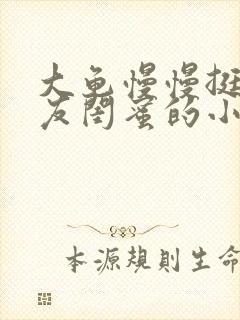 大龟慢慢挺进女友闺蜜的小说