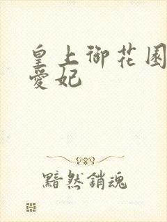 皇上御花园中要爱妃