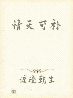 情天可补