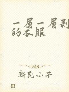一层一层剥开我的衣服