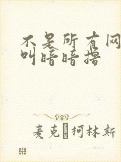 不是所有网站都叫暗暗撸