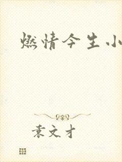 燃情今生小说
