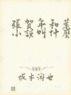 张贺年和叶繁姿小说叫什么名字