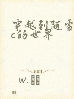 穿越到随处可以c的世界